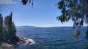 ./images/koeye/fitz-hugh/20260601/fitz-hugh20260601_135002M.jpg