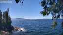 ./images/koeye/fitz-hugh/20260601/fitz-hugh20260601_135501M.jpg
