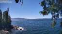 ./images/koeye/fitz-hugh/20260601/fitz-hugh20260601_141001M.jpg