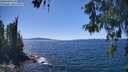 ./images/koeye/fitz-hugh/20260601/fitz-hugh20260601_142501M.jpg