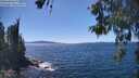 ./images/koeye/fitz-hugh/20260601/fitz-hugh20260601_143502M.jpg