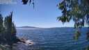 ./images/koeye/fitz-hugh/20260601/fitz-hugh20260601_144002M.jpg