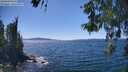 ./images/koeye/fitz-hugh/20260601/fitz-hugh20260601_144501M.jpg