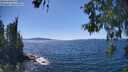 ./images/koeye/fitz-hugh/20260601/fitz-hugh20260601_145001M.jpg