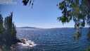 ./images/koeye/fitz-hugh/20260601/fitz-hugh20260601_145501M.jpg