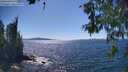 ./images/koeye/fitz-hugh/20260601/fitz-hugh20260601_152502M.jpg