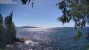 ./images/koeye/fitz-hugh/20260601/fitz-hugh20260601_154501M.jpg