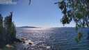 ./images/koeye/fitz-hugh/20260601/fitz-hugh20260601_155001M.jpg