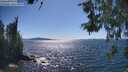 ./images/koeye/fitz-hugh/20260601/fitz-hugh20260601_155501M.jpg