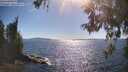 ./images/koeye/fitz-hugh/20260601/fitz-hugh20260601_170002M.jpg