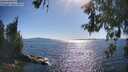 ./images/koeye/fitz-hugh/20260601/fitz-hugh20260601_171502M.jpg