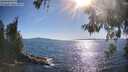 ./images/koeye/fitz-hugh/20260601/fitz-hugh20260601_174501M.jpg