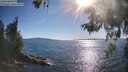 ./images/koeye/fitz-hugh/20260601/fitz-hugh20260601_175501M.jpg