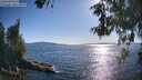 ./images/koeye/fitz-hugh/20260601/fitz-hugh20260601_181001M.jpg