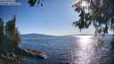 ./images/koeye/fitz-hugh/20260601/fitz-hugh20260601_182501M.jpg