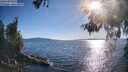 ./images/koeye/fitz-hugh/20260601/fitz-hugh20260601_183001M.jpg