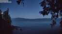 ./images/koeye/fitz-hugh/20260602/fitz-hugh20260602_042502M.jpg