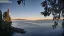 ./images/koeye/fitz-hugh/20260602/fitz-hugh20260602_060501M.jpg