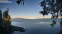 ./images/koeye/fitz-hugh/20260602/fitz-hugh20260602_062001M.jpg