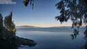 ./images/koeye/fitz-hugh/20260602/fitz-hugh20260602_063501M.jpg