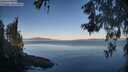 ./images/koeye/fitz-hugh/20260602/fitz-hugh20260602_064001M.jpg