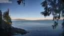 ./images/koeye/fitz-hugh/20260602/fitz-hugh20260602_065001M.jpg