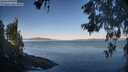 ./images/koeye/fitz-hugh/20260602/fitz-hugh20260602_065501M.jpg