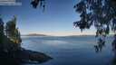 ./images/koeye/fitz-hugh/20260602/fitz-hugh20260602_070501M.jpg