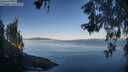 ./images/koeye/fitz-hugh/20260602/fitz-hugh20260602_071001M.jpg