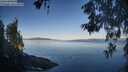 ./images/koeye/fitz-hugh/20260602/fitz-hugh20260602_071501M.jpg