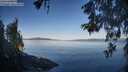 ./images/koeye/fitz-hugh/20260602/fitz-hugh20260602_072001M.jpg