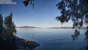 ./images/koeye/fitz-hugh/20260602/fitz-hugh20260602_072501M.jpg