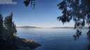 ./images/koeye/fitz-hugh/20260602/fitz-hugh20260602_073002M.jpg