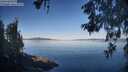 ./images/koeye/fitz-hugh/20260602/fitz-hugh20260602_073501M.jpg