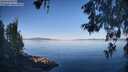 ./images/koeye/fitz-hugh/20260602/fitz-hugh20260602_074001M.jpg