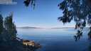 ./images/koeye/fitz-hugh/20260602/fitz-hugh20260602_075001M.jpg