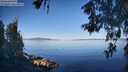 ./images/koeye/fitz-hugh/20260602/fitz-hugh20260602_075501M.jpg