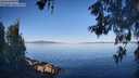 ./images/koeye/fitz-hugh/20260602/fitz-hugh20260602_080001M.jpg