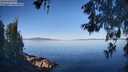 ./images/koeye/fitz-hugh/20260602/fitz-hugh20260602_080501M.jpg