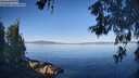 ./images/koeye/fitz-hugh/20260602/fitz-hugh20260602_081001M.jpg