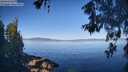 ./images/koeye/fitz-hugh/20260602/fitz-hugh20260602_083001M.jpg