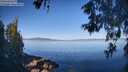 ./images/koeye/fitz-hugh/20260602/fitz-hugh20260602_083501M.jpg