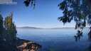 ./images/koeye/fitz-hugh/20260602/fitz-hugh20260602_084001M.jpg