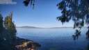 ./images/koeye/fitz-hugh/20260602/fitz-hugh20260602_084502M.jpg