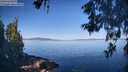 ./images/koeye/fitz-hugh/20260602/fitz-hugh20260602_085001M.jpg