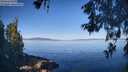 ./images/koeye/fitz-hugh/20260602/fitz-hugh20260602_085501M.jpg