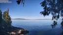 ./images/koeye/fitz-hugh/20260602/fitz-hugh20260602_090001M.jpg