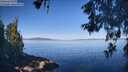 ./images/koeye/fitz-hugh/20260602/fitz-hugh20260602_090501M.jpg