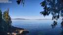 ./images/koeye/fitz-hugh/20260602/fitz-hugh20260602_091001M.jpg