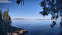 ./images/koeye/fitz-hugh/20260602/fitz-hugh20260602_091501M.jpg